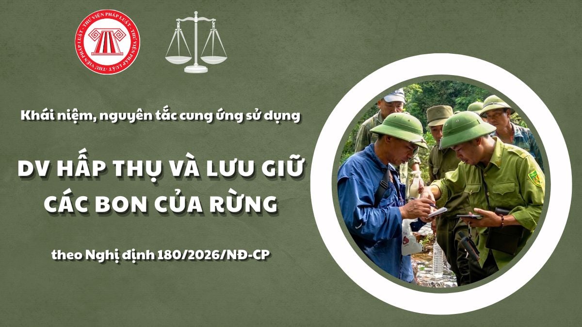 Pháp luật