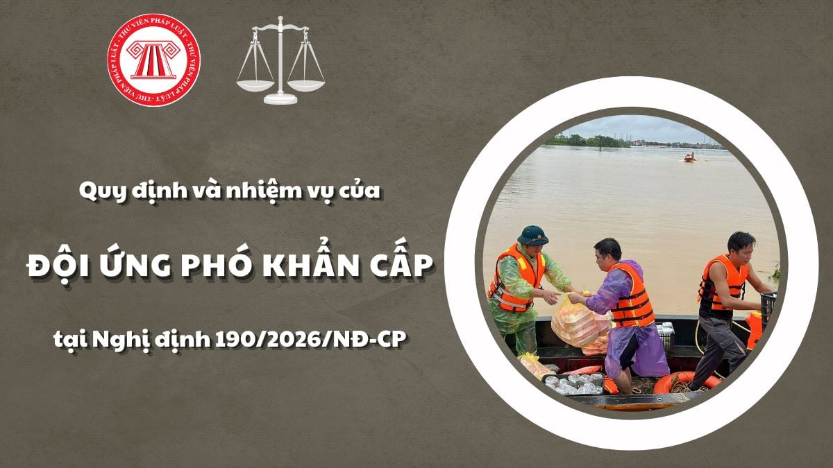 Pháp luật