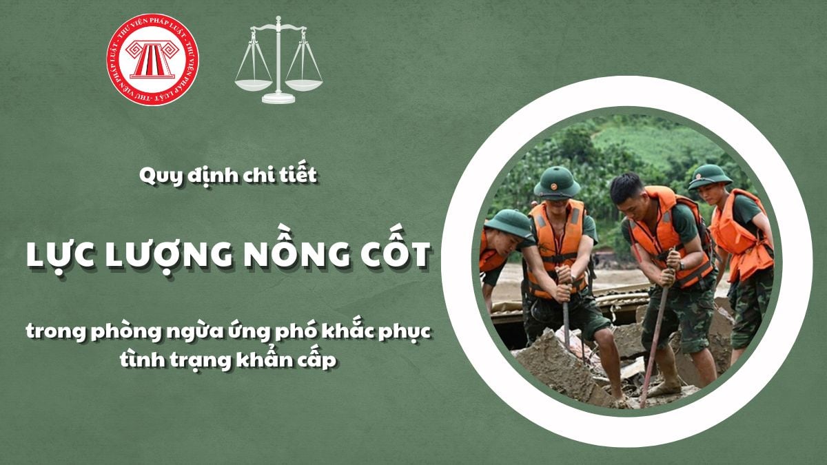 Pháp luật