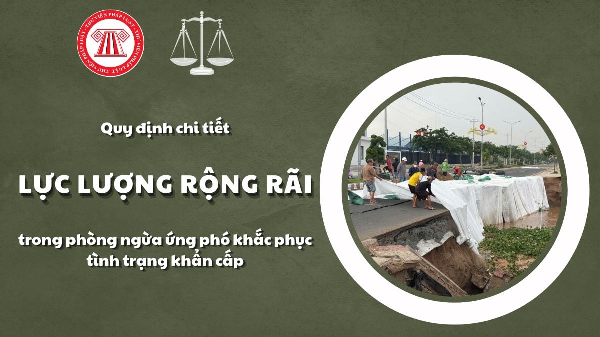 Pháp luật