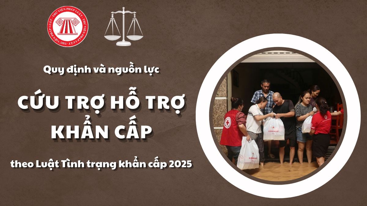 Pháp luật