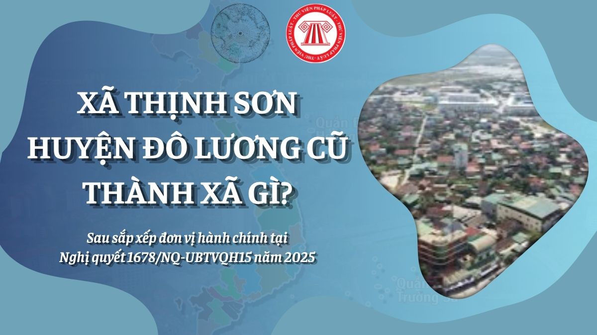 Pháp luật