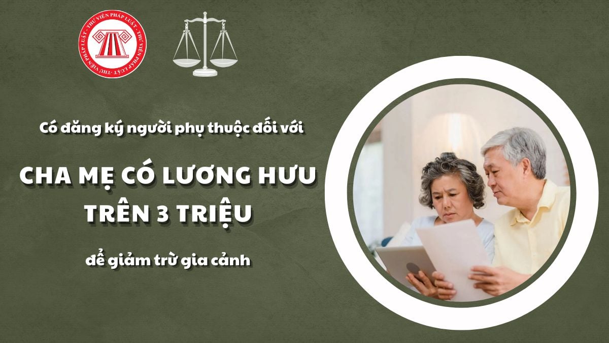 Pháp luật