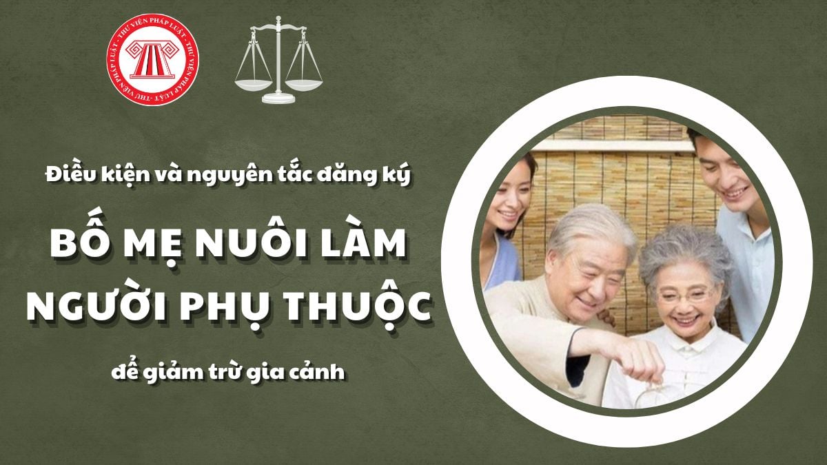 Pháp luật