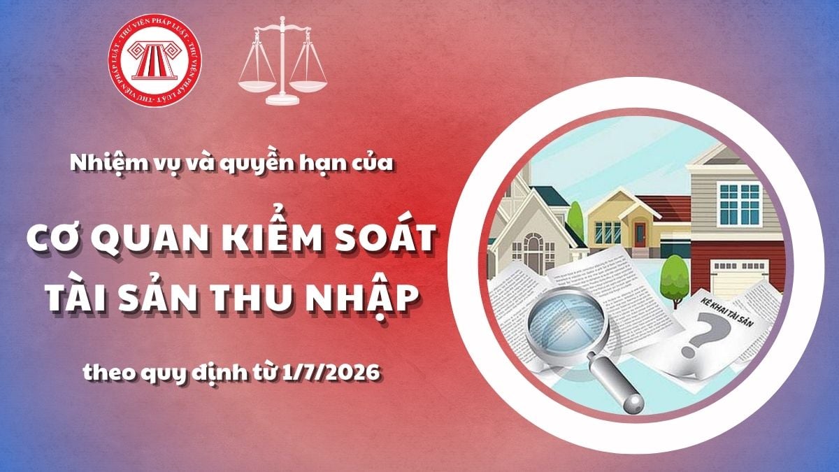 Pháp luật