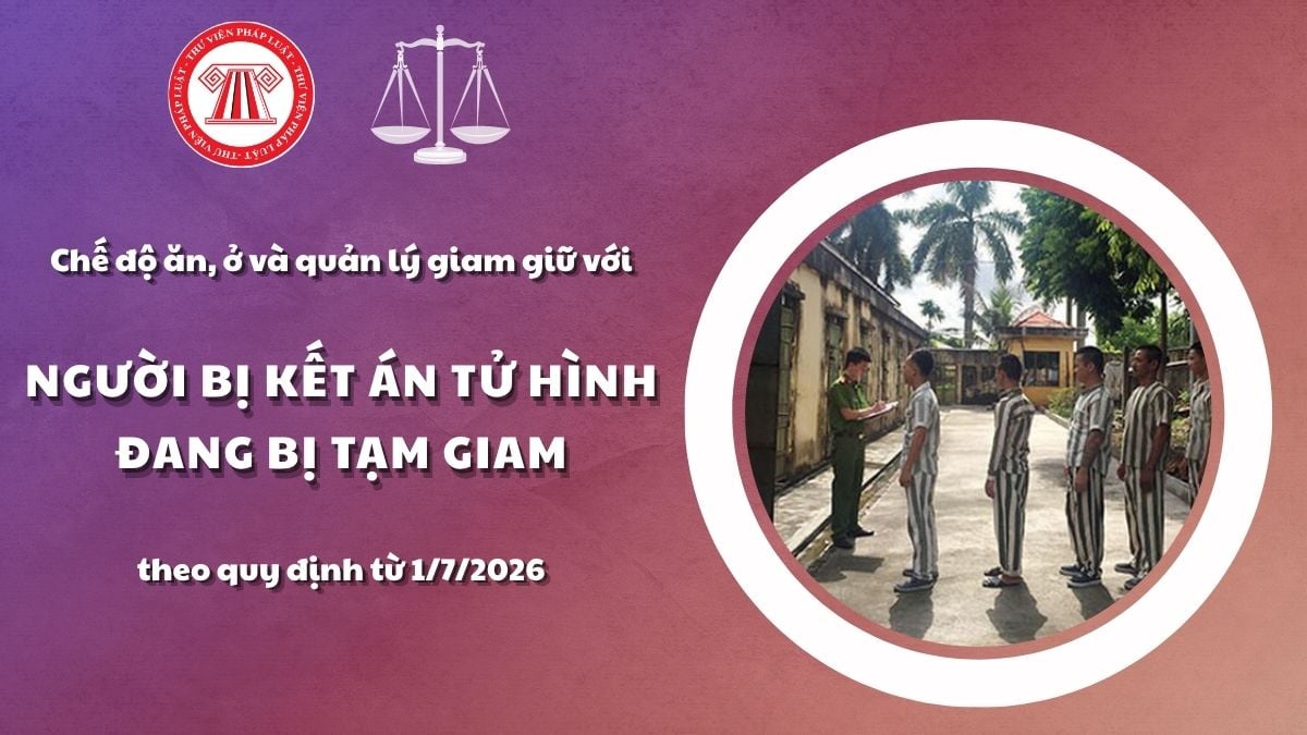 Pháp luật