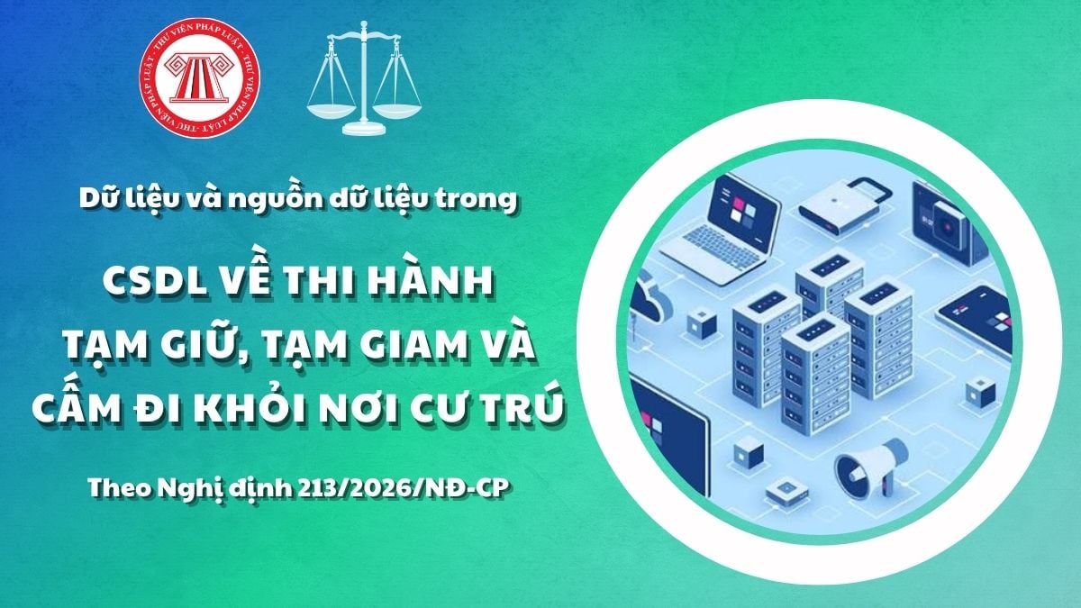 Pháp luật