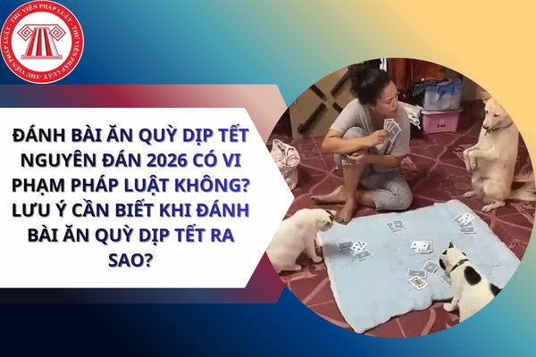 Pháp luật