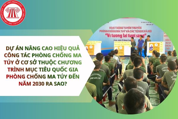 Pháp luật