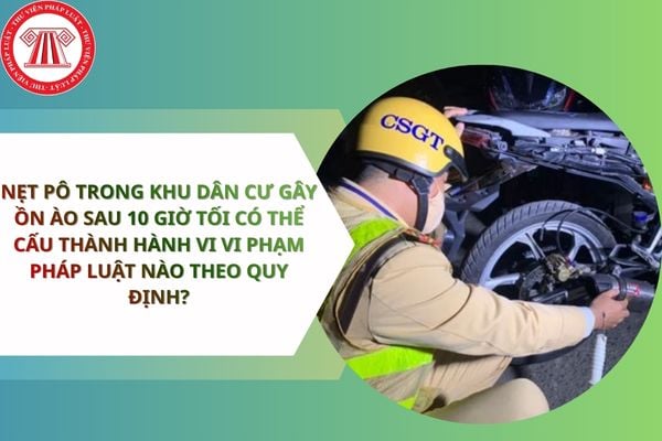 Pháp luật