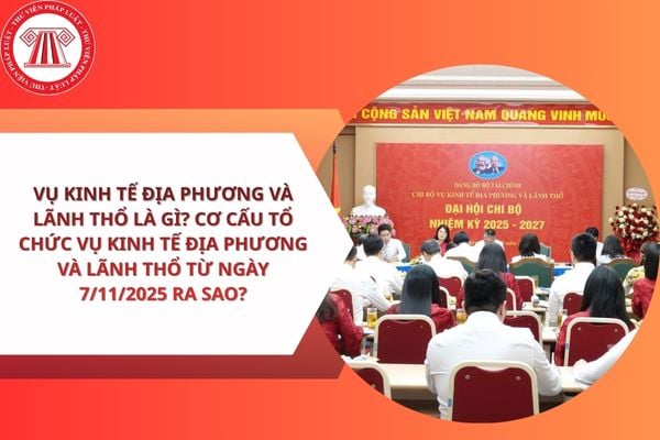 Pháp luật