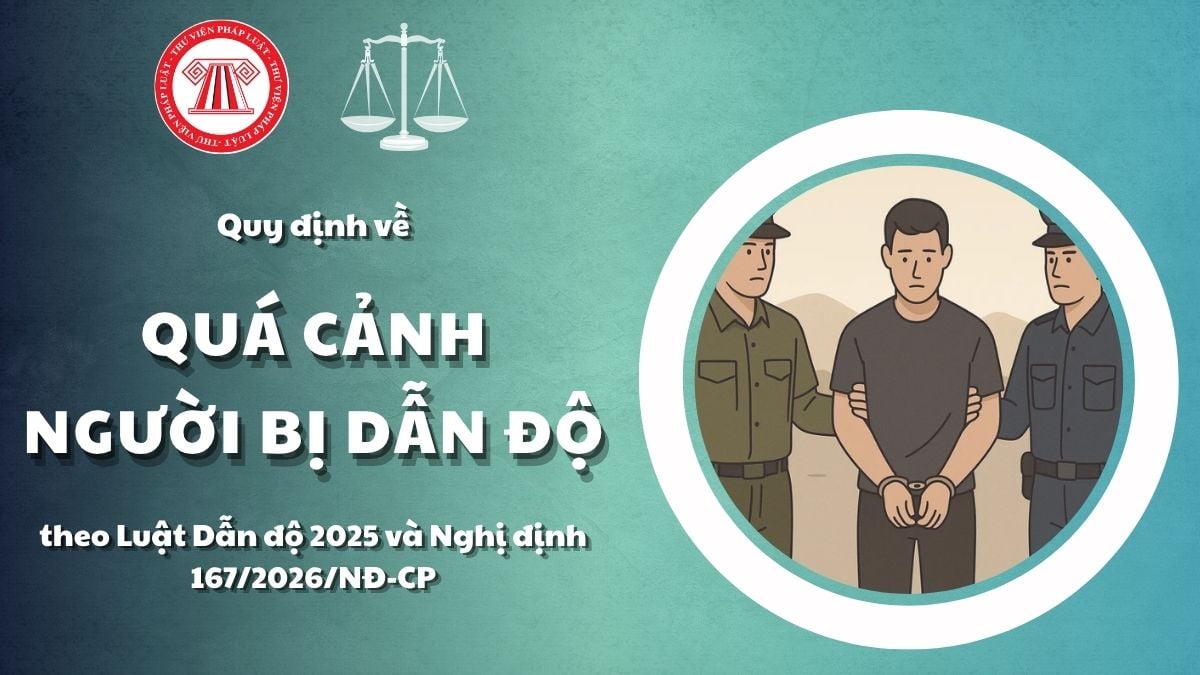 Pháp luật