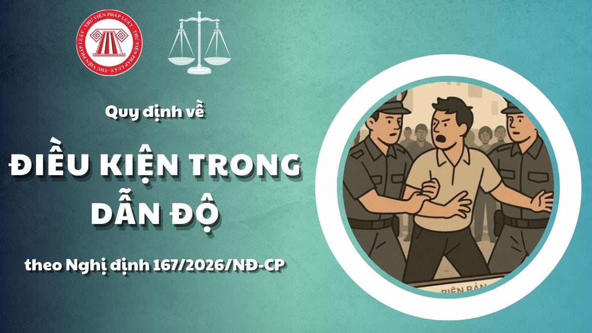 Pháp luật