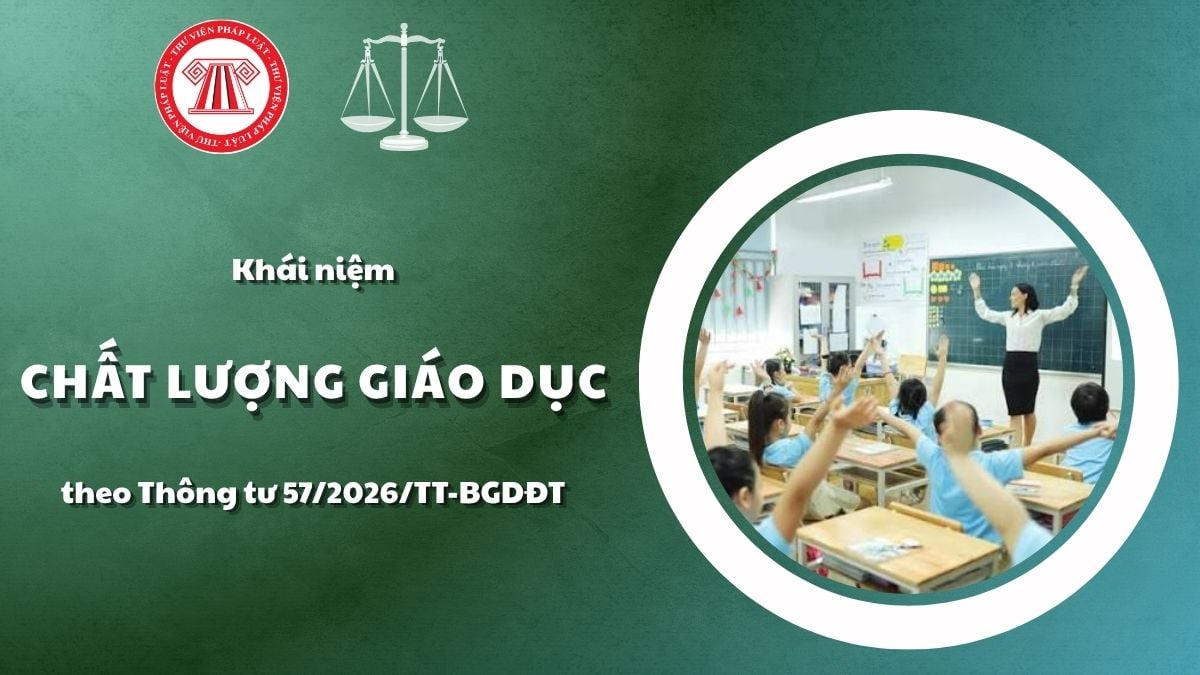 Pháp luật
