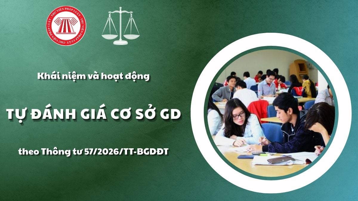 Pháp luật