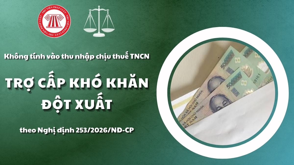 Pháp luật