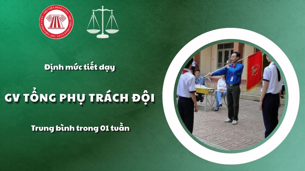 Pháp luật