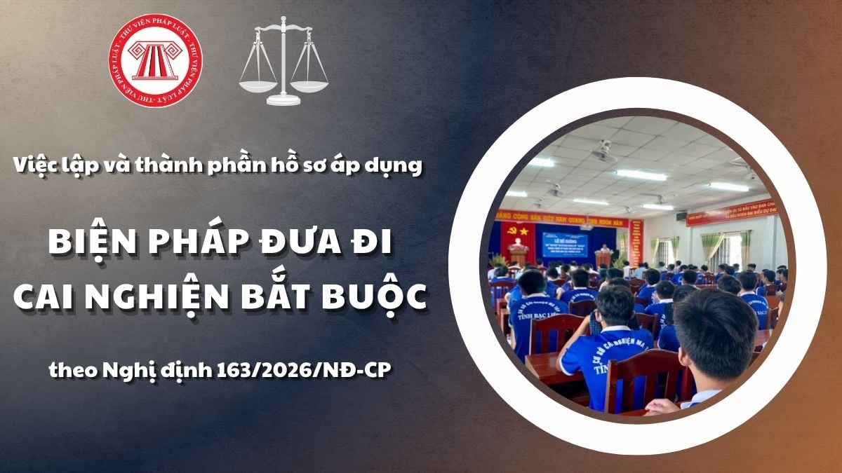Pháp luật