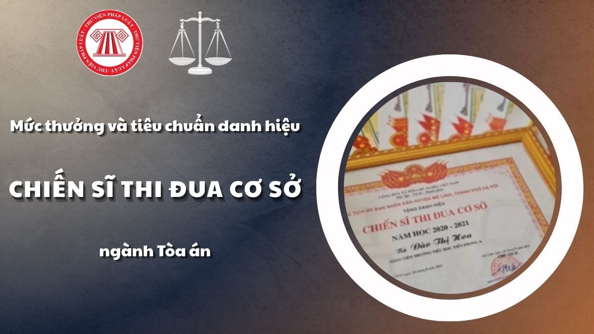 Pháp luật