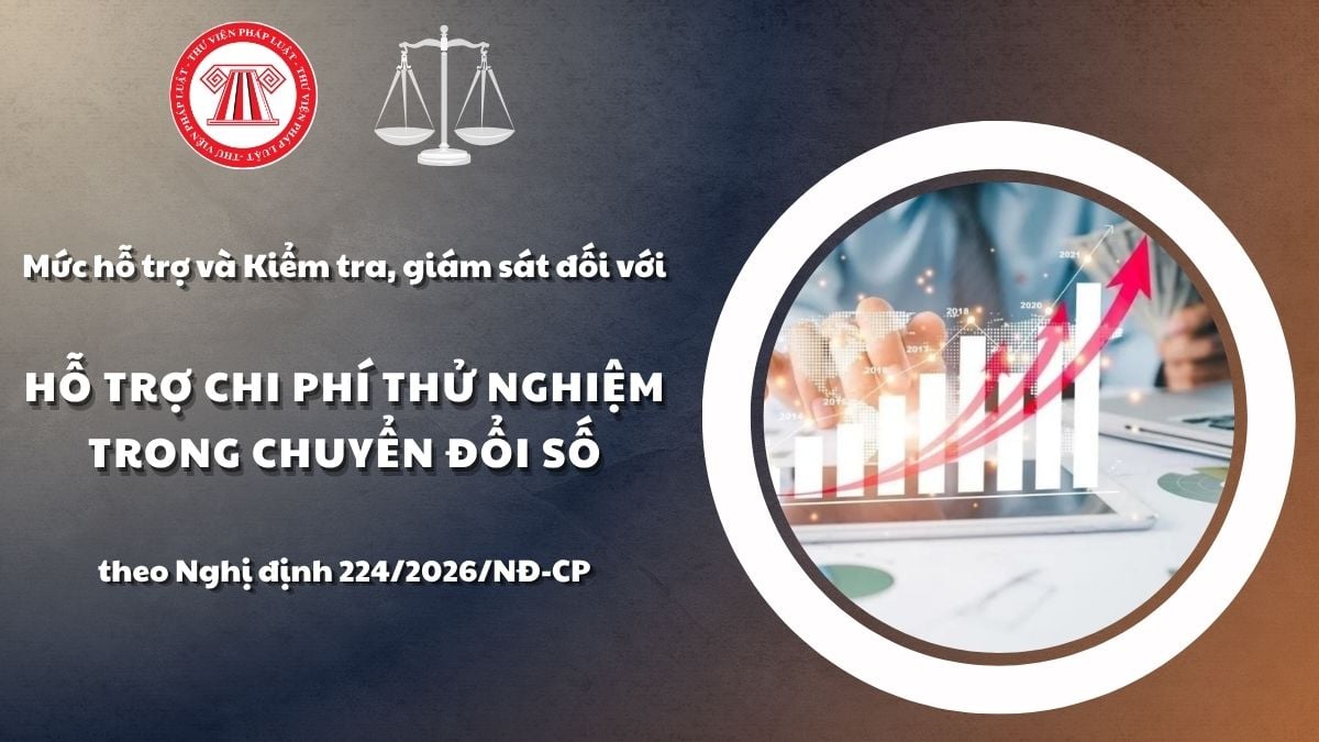 Pháp luật