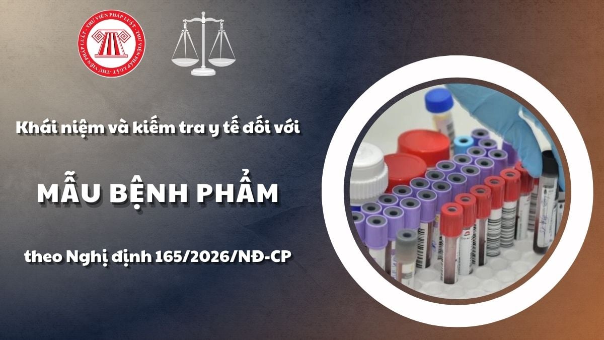 Pháp luật