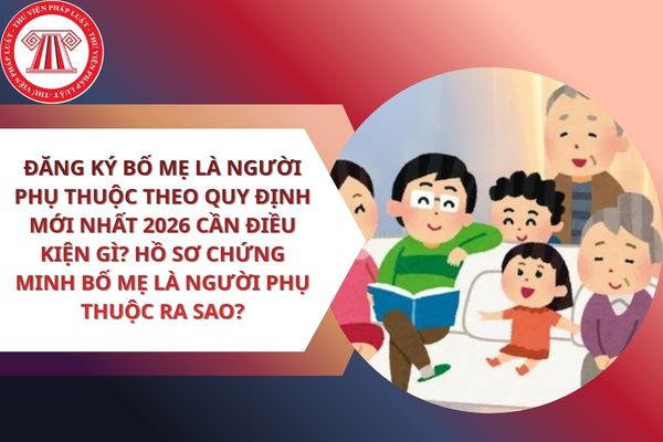 Pháp luật