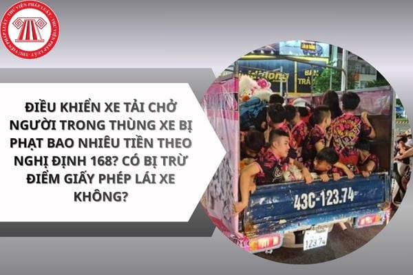 Pháp luật
