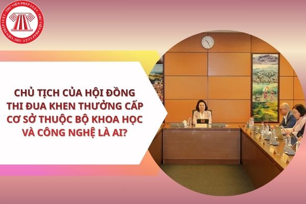 Pháp luật