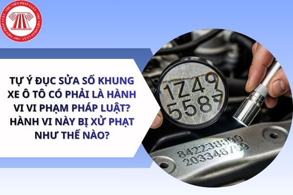 Pháp luật