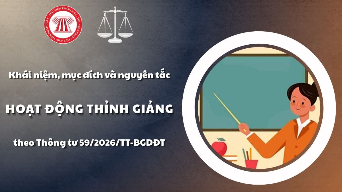 Pháp luật
