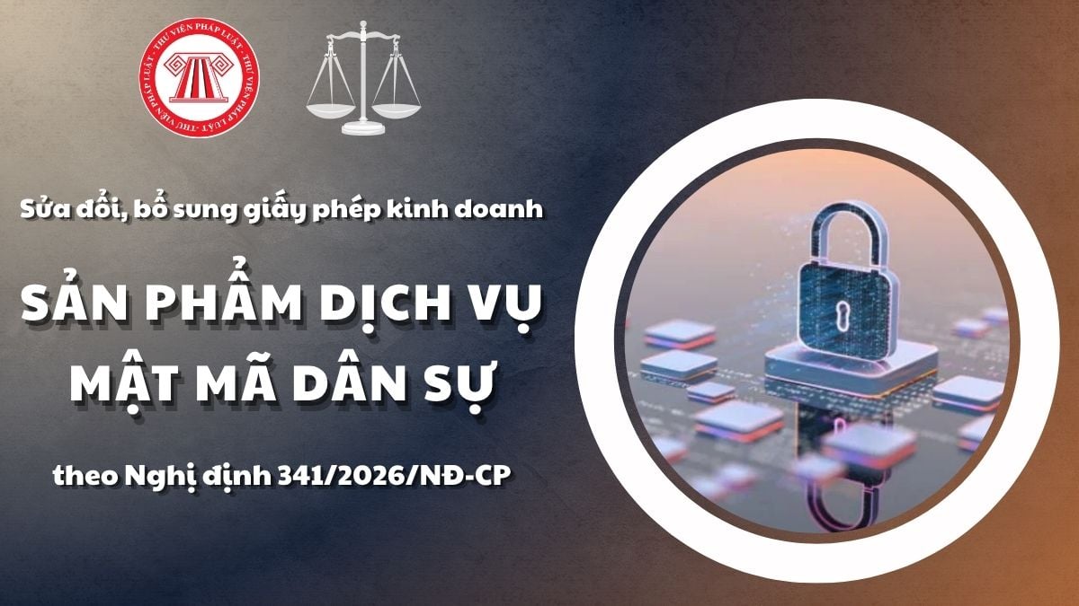 Pháp luật