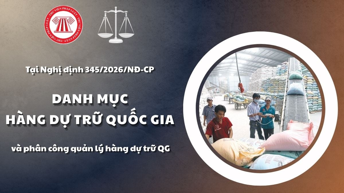 Pháp luật