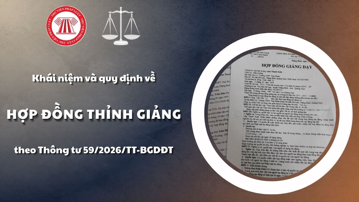 Pháp luật