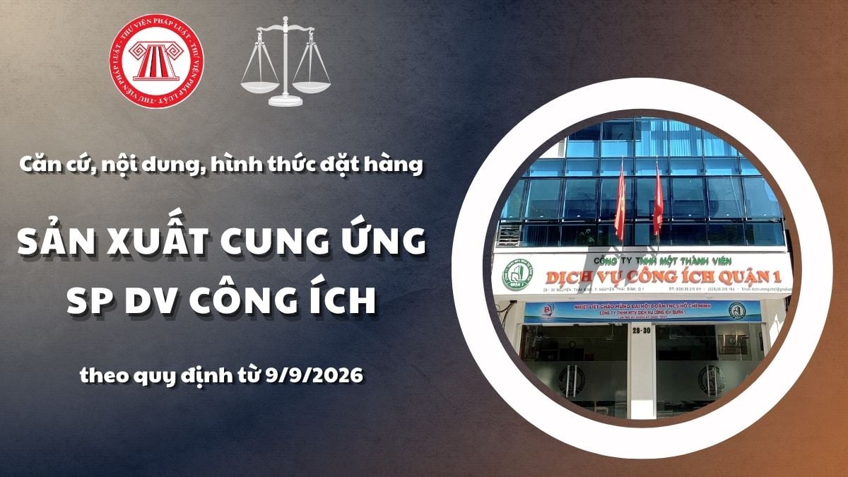 Pháp luật
