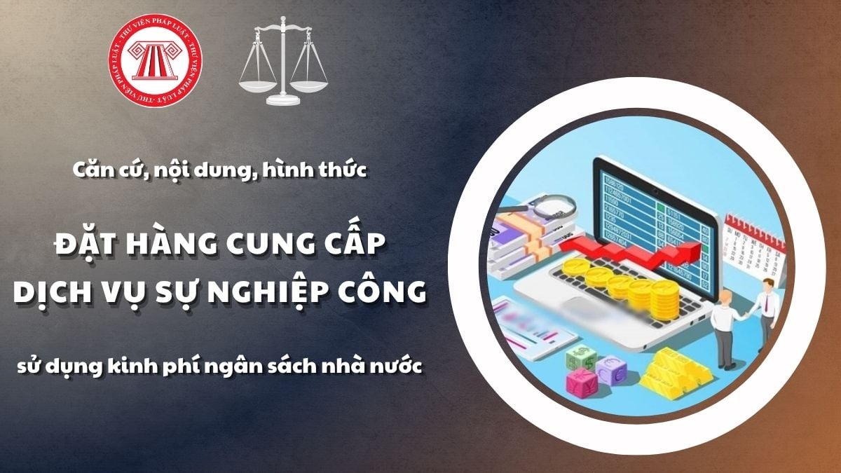 Pháp luật
