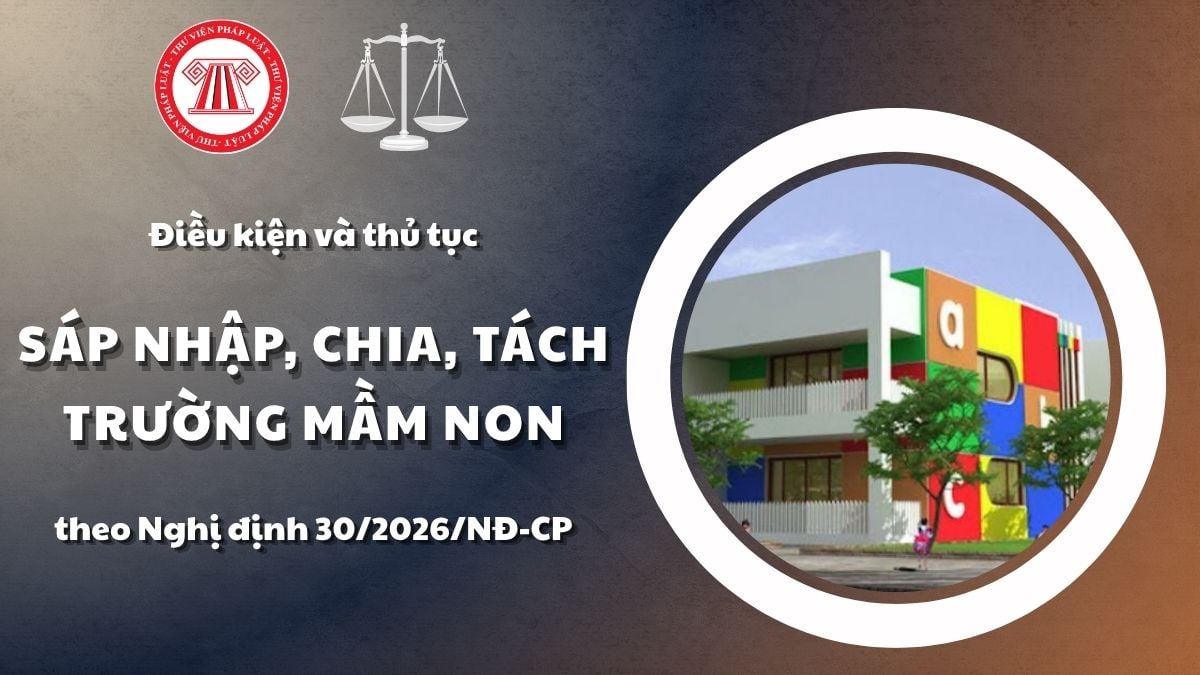 Pháp luật