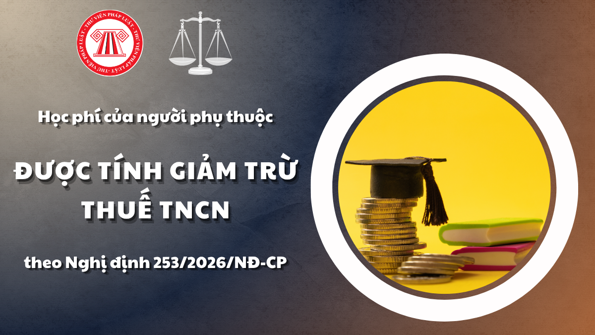 Pháp luật
