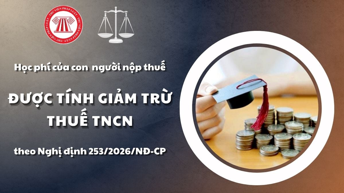 Pháp luật