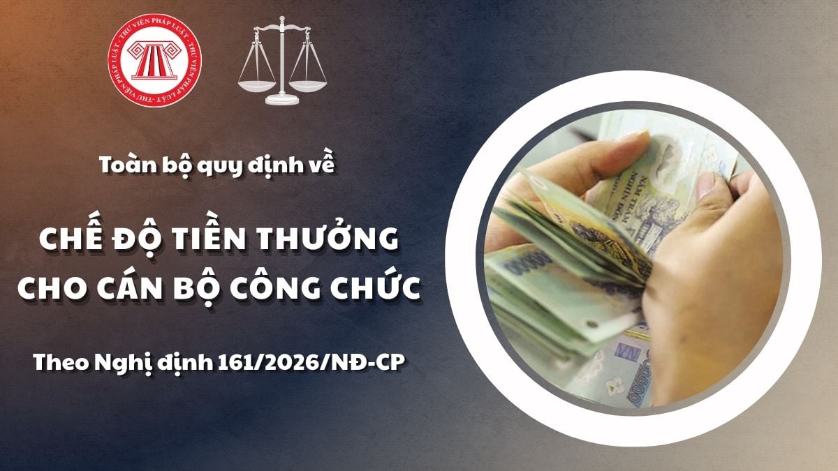 Pháp luật