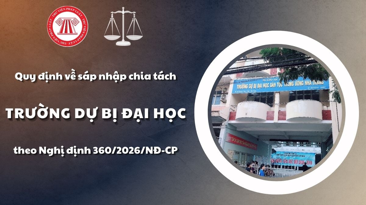 Pháp luật