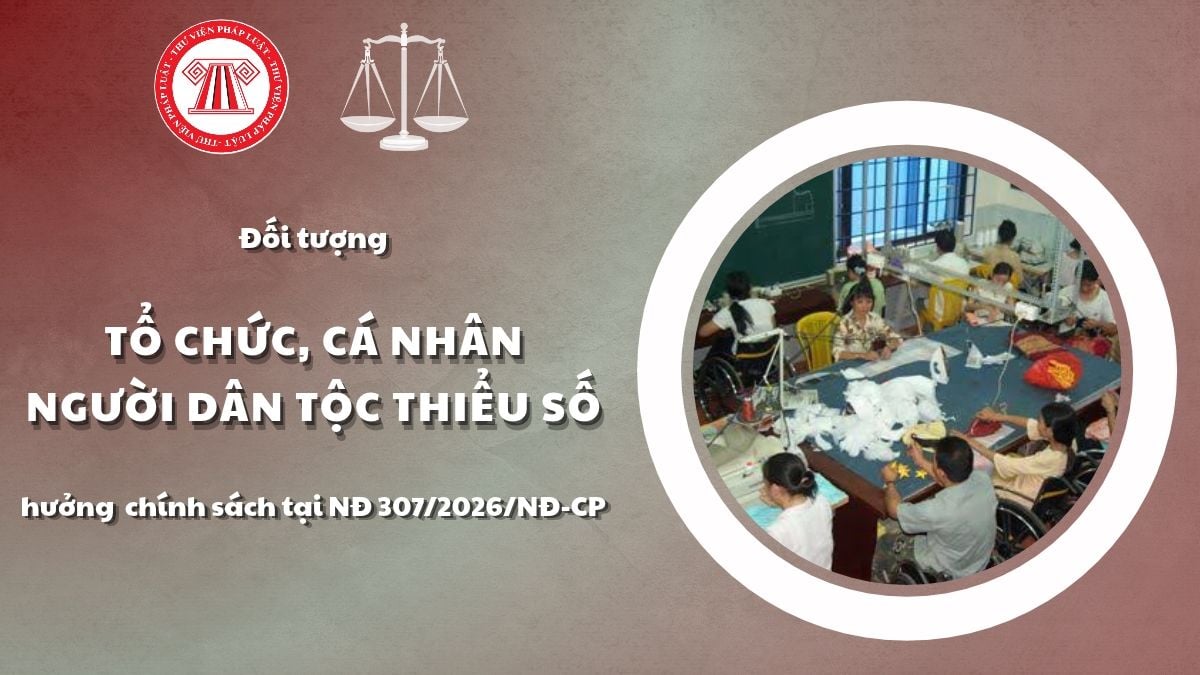 Pháp luật