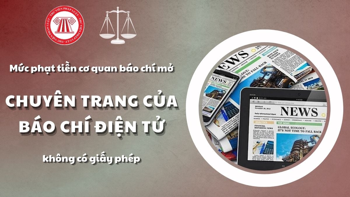 Pháp luật