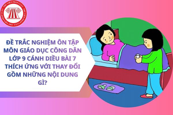 Pháp luật