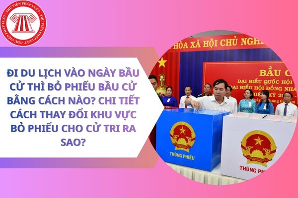 Pháp luật