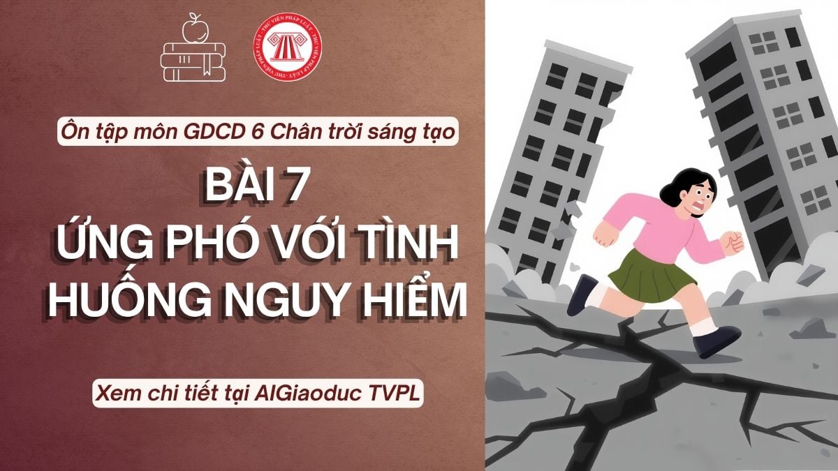 Pháp luật