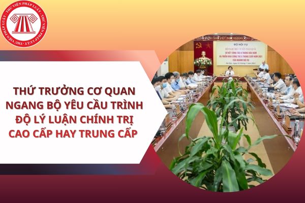 Pháp luật