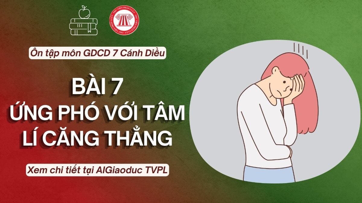 Pháp luật