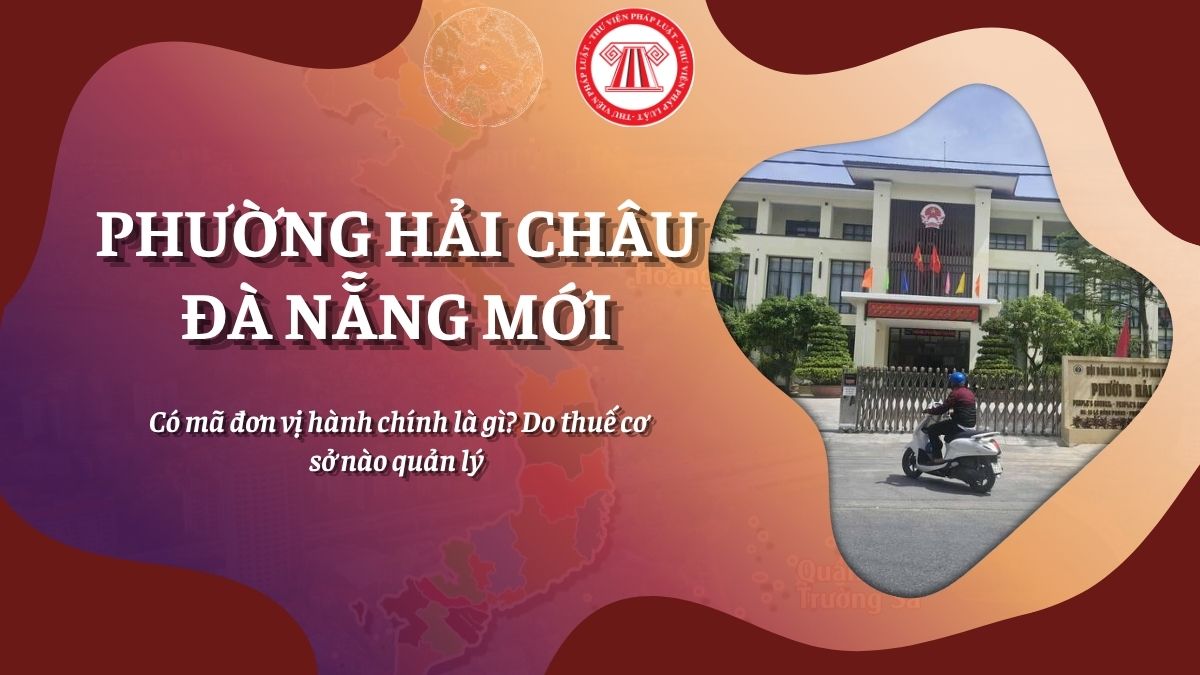 Pháp luật