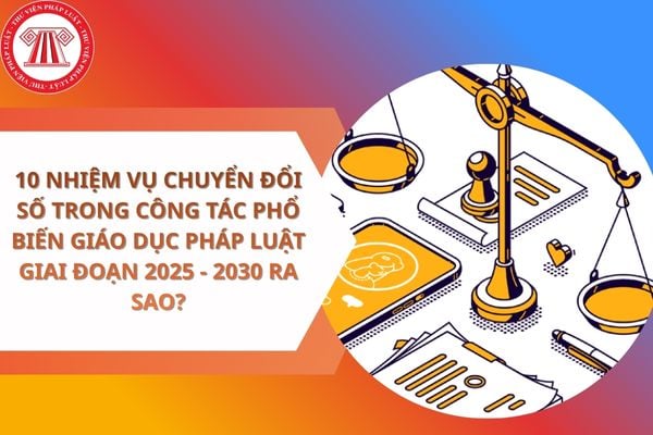 Pháp luật
