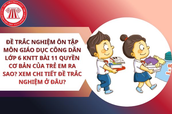 Pháp luật
